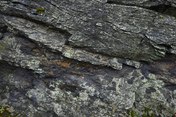 starożytna skała - gneiss zdjęcia i obrazy z banku zdjęć