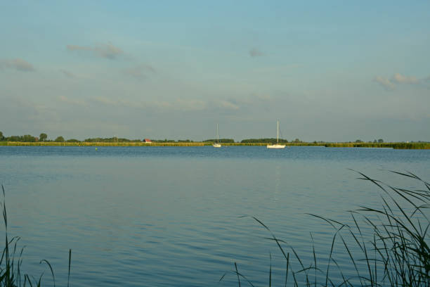 Sunset on a Frisian lake;  in front a reed bed and in the backgroud moored sail boats.