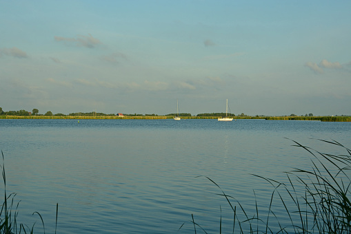 Sunset on a Frisian lake;  in front a reed bed and in the backgroud moored sail boats.