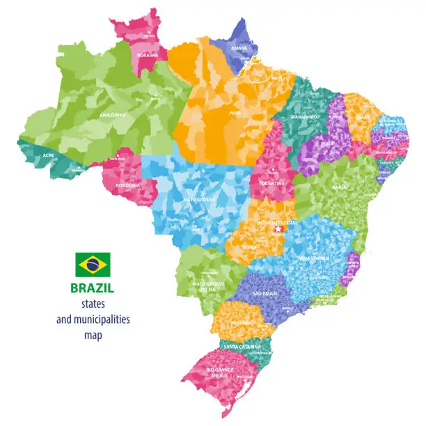 Vector illustration of Brazil states and municipalities vector high detailed colored map