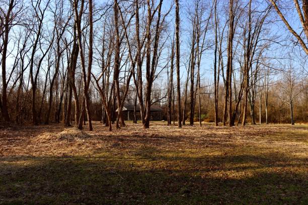 istock Field in the Countryside 1388991093