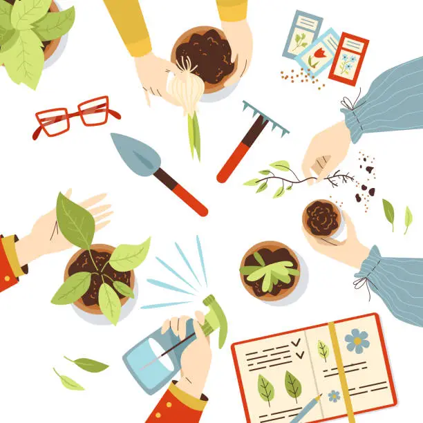 Vector illustration of Hands holding and working with house plants, flat vector illustration.