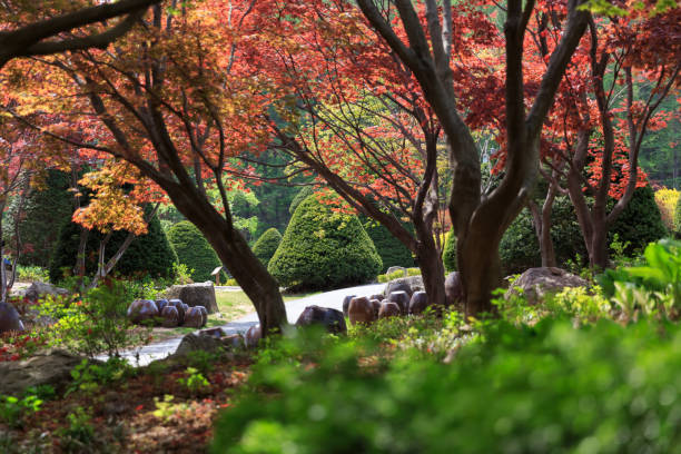 istock Korean flower colorful park in spring time 1388991551