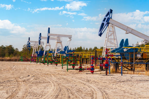 Oil and gas industry in Russia. Oil and gas field bush. Oil pumping chair in the fields of Siberia. Oil pumping chair in the fields of Siberia. Oil and gas industry in Russia. Oil and gas field bush. western siberia stock pictures, royalty-free photos & images