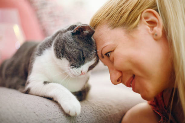 woman pet owner cuddling with cat - acariciar imagens e fotografias de stock