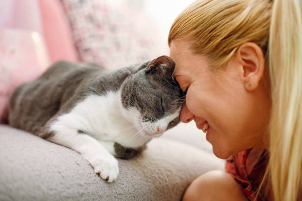 istock Woman pet owner cuddling with cat 1388993193