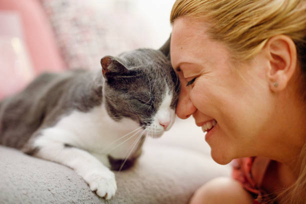 istock Woman pet owner cuddling with cat 1388993238