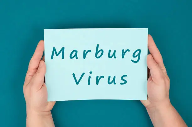 Photo of The words Marburg virus are standing on a paper, dangerous infectional disease, hemorrhagic fever, medical diagnosis, health issue, MARV