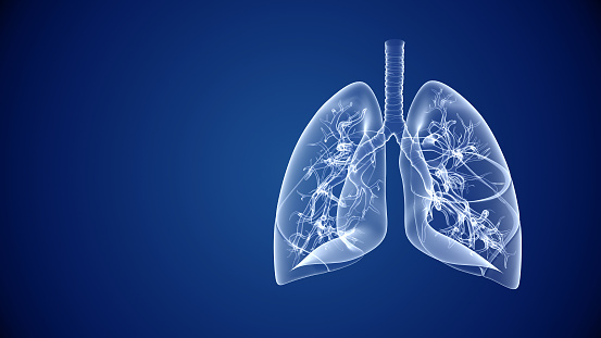 Salud de los pulmones humanos y antecedentes médicos abstractos photo