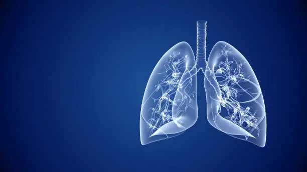 Photo of Human lungs healthcare and medical abstract background