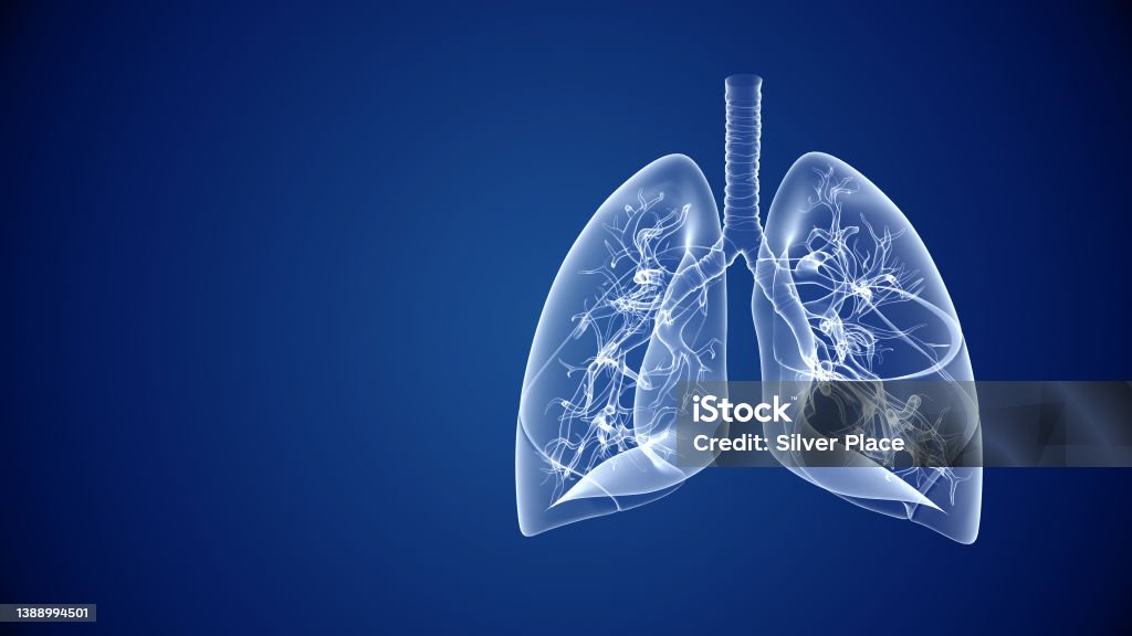 Chăm sóc sức khỏe phổi người và nền tảng trừu tượng y tế - Trả phí Bản quyền Một lần Phổi - Hệ hô hấp Bức ảnh sẵn có Chăm sóc sức khỏe phổi người và nền tảng trừu tượng y tế - Trả phí Bản quyền Một lần Phổi - Hệ hô hấp Bức ảnh sẵn có