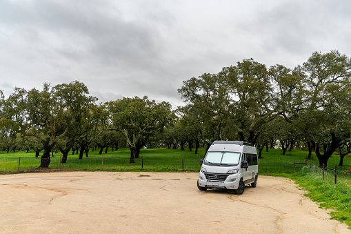 A gray camper van parked in a gravel lot in the middle of a cork oak forest in Portugal