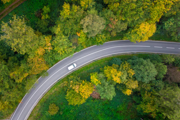 istock Road through autumnal forest - aerial view 1388997775