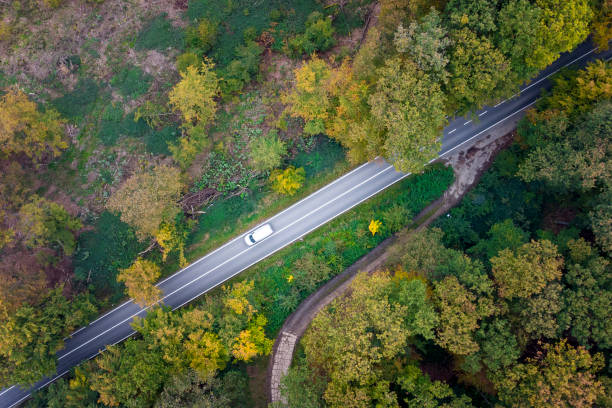 istock Road through autumnal forest - aerial view 1388997788