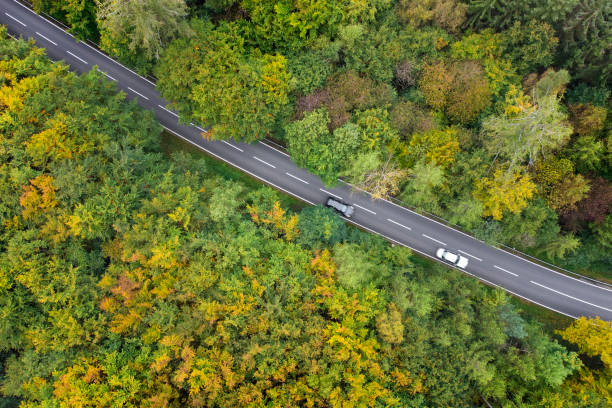 istock Road through autumnal forest - aerial view 1388997800