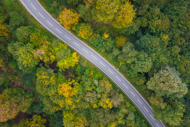 istock Road through autumnal forest - aerial view 1388997834
