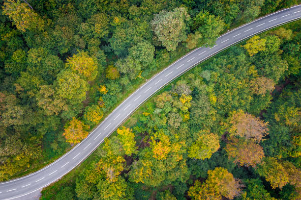 istock Road through autumnal forest - aerial view 1388997840