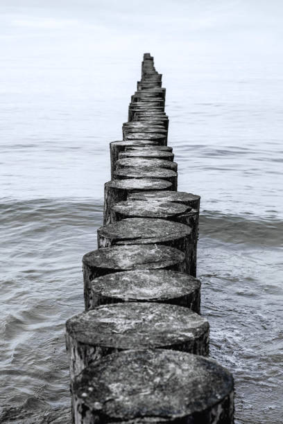 istock Wooden breakwater on the Baltic coast 1388997844