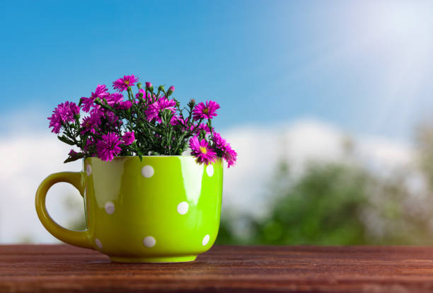 Flower arrangement in the garden