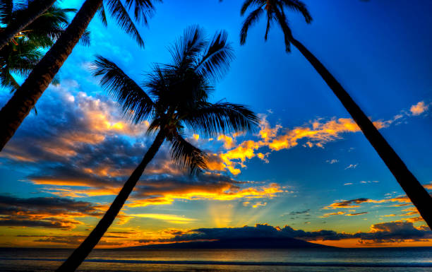 istock Beautiful Kaanapali ,Hawaii   pictures 1389004952