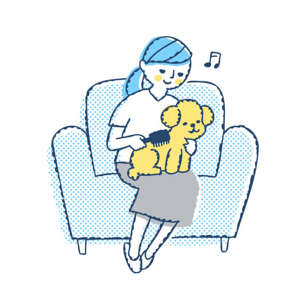 kobieta pielęgnująca pudel zabawkowy - dog mixed breed dog puppy white background stock illustrations
