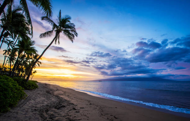 istock Beautiful Kaanapali ,Hawaii   pictures 1389005008