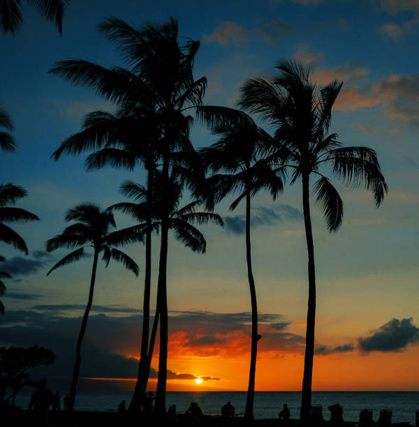 istock Beautiful Kaanapali ,Hawaii   pictures 1389005026