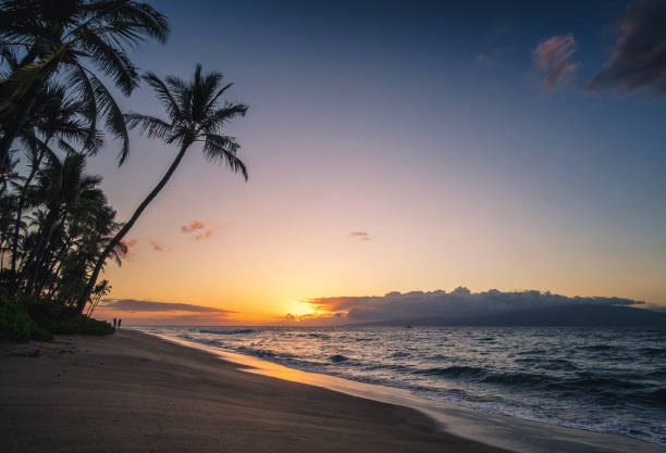 istock Beautiful Kaanapali ,Hawaii   pictures 1389005091