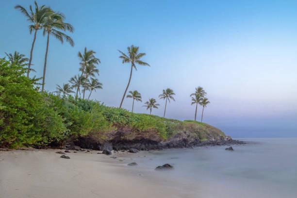 istock Beautiful Kaanapali ,Hawaii   pictures 1389005173