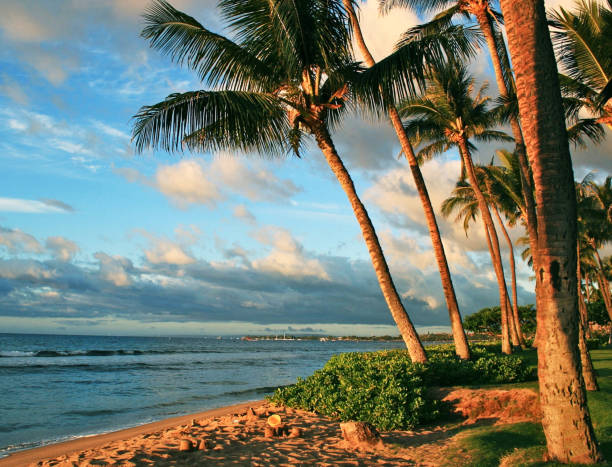 istock Beautiful Kaanapali ,Hawaii   pictures 1389005408