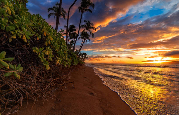 istock Beautiful Kaanapali ,Hawaii   pictures 1389006125