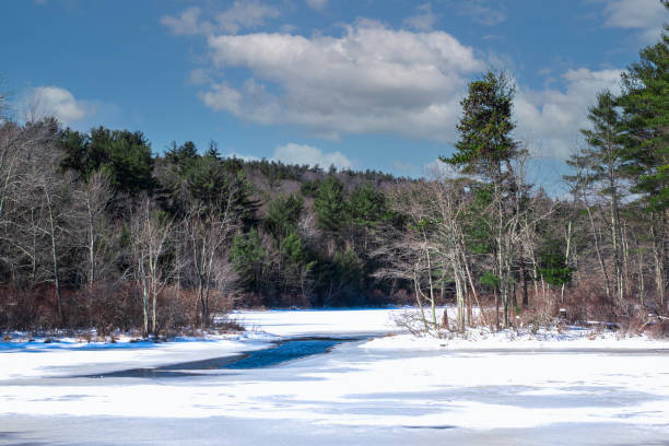 istock the winter landscape of stuart pond 1389007551