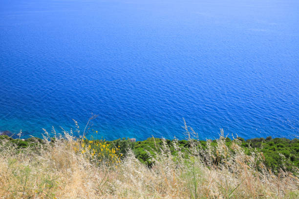 istock Beautiful sea and grass landscape 1389008914