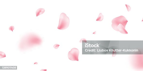 istock Sakura petal spring blossom on white banner. Flower flying background. Pink rose composition. Beauty Spa product frame. Valentine romantic card. Light delicate pastel design. Vector illustration 1389011408