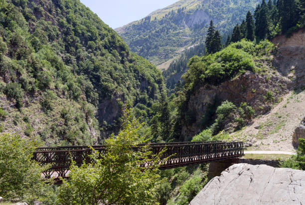 istock The bridge across the gorge 1389011656