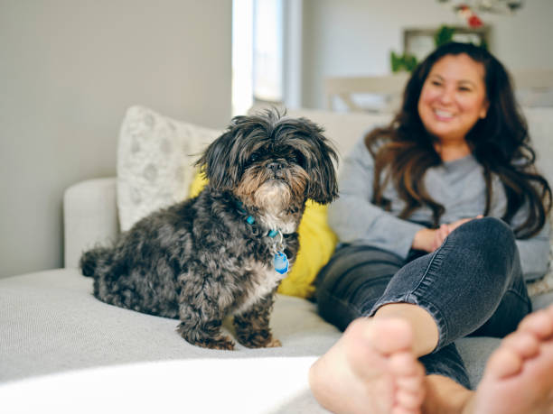istock Woman at Home With Her Pet Dog 1389012689