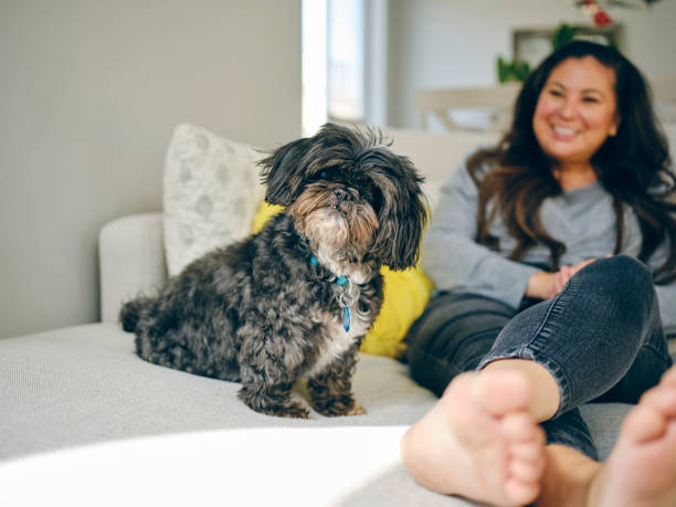 istock Woman at Home With Her Pet Dog 1389012693