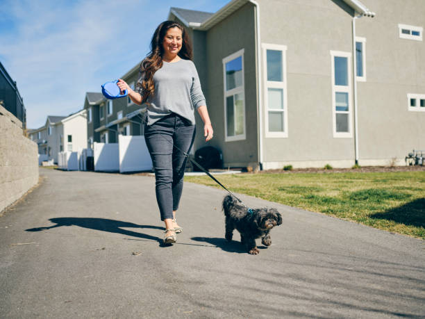 istock Woman at Home With Her Pet Dog 1389012704