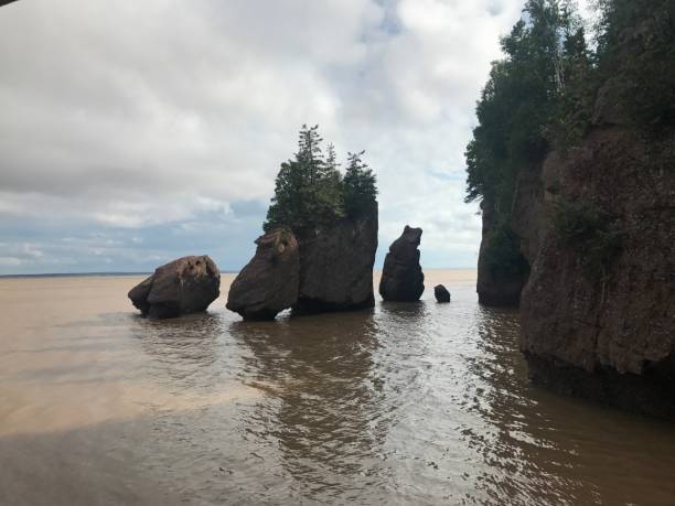 File:Bay of Fundy - Tide In.jpg - Wikimedia Commons