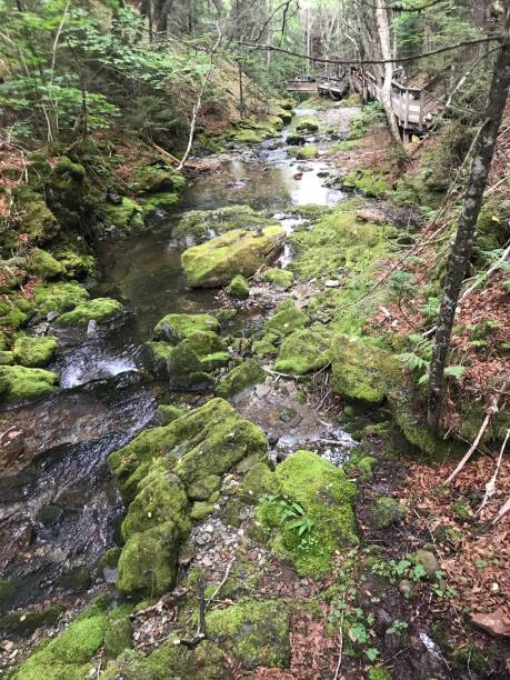 istock New Brunswick Hiking Trail 1389022720