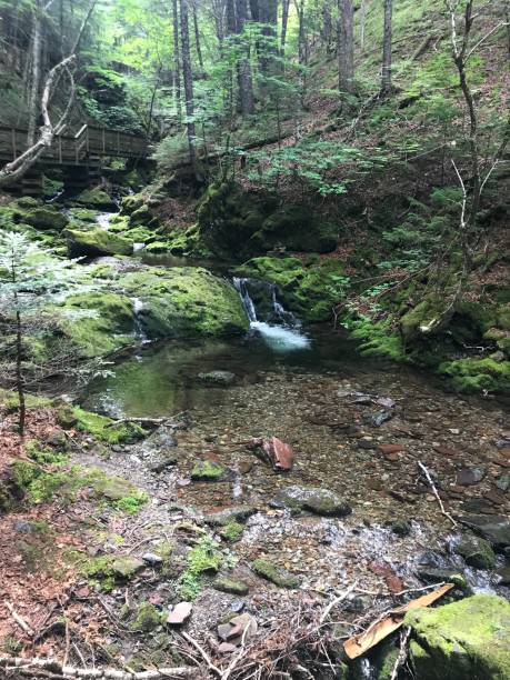 istock New Brunswick Hiking Trail 1389022721
