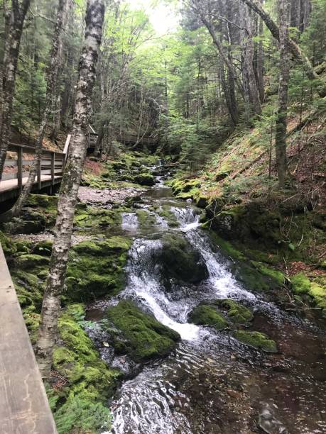 istock New Brunswick Hiking Trail 1389022725