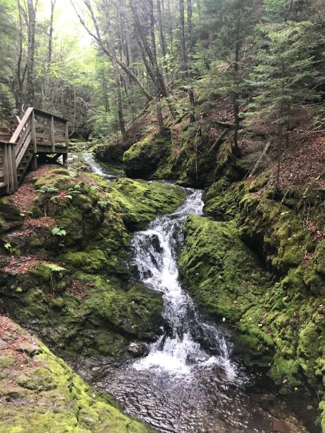 istock New Brunswick Hiking Trail 1389022737
