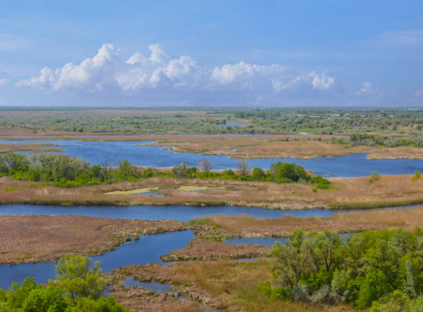 istock view ftom above to quiet river flow through a forest, summer natural countryside scene 1389026048