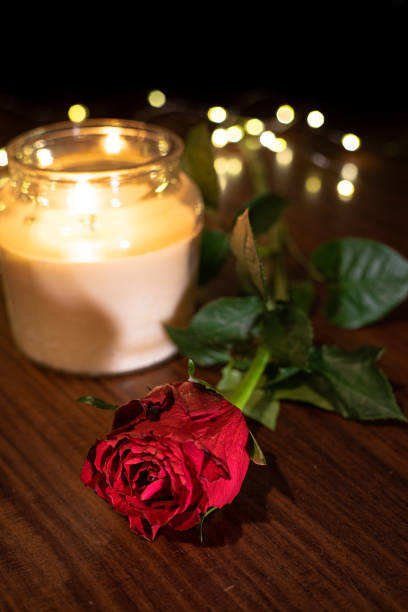 красная роза и свеча - candle candlelight red burning стоковые фото и изображения