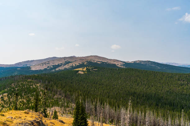 floresta nacional bighorn, wyoming, eua - bighorn national forest blue wyoming green - fotografias e filmes do acervo