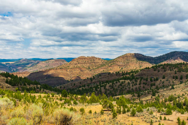 istock Central Oregon Valley in Summer 1389038094