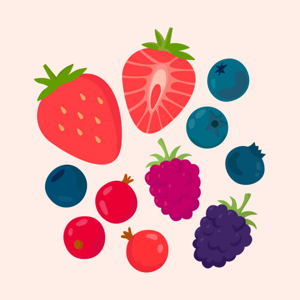 waldbeeren set. erdbeeren, himbeeren, brombeeren, johannisbeeren, blaubeeren. flache vektorillustration im cartoon-stil - raspberry stock-grafiken, -clipart, -cartoons und -symbole