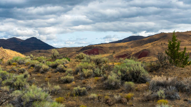 istock John Day Fossil Beds National Monument, Oregon 1389039341