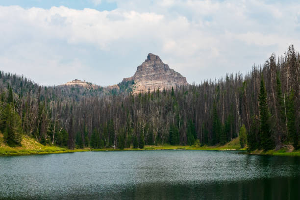 istock Bridger-Teton National Forest, Wyoming 1389040736